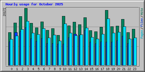 Hourly usage for October 2025