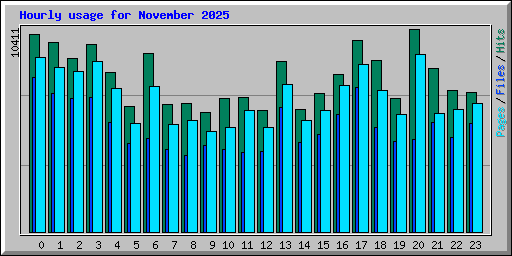 Hourly usage for November 2025